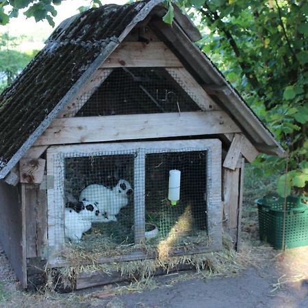 Ferienwohnung Sannhoff Schneverdingen Exteriör bild