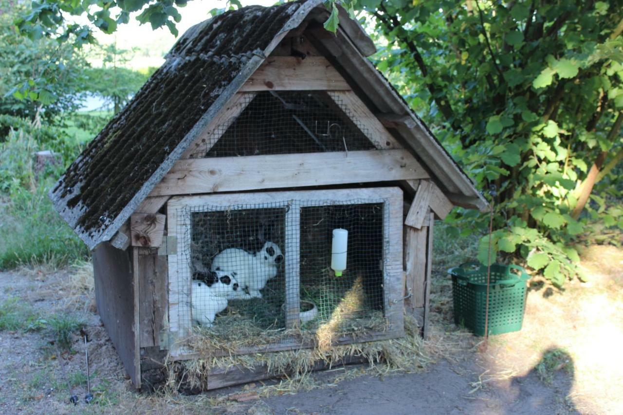 Ferienwohnung Sannhoff Schneverdingen Exteriör bild